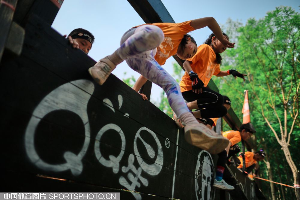 的完美拼图 的完美拼图