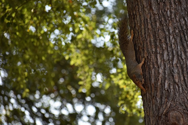 对于穆帅来 对于穆帅来